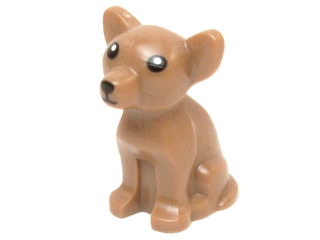 Dog, Chihuahua