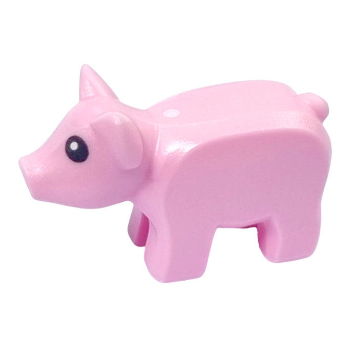 Piglet with Black Eyes and White Pupils