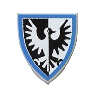 Black Falcon Shield