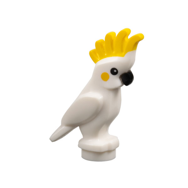 Bird, Parrot Cockatoo with Yellow Crest and Cheeks