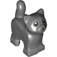 Kitten, Standing