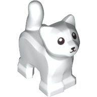 Kitten, Standing