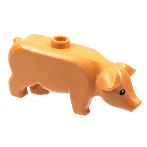 Pig