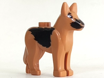 Dog, Alsatian / German Shepherd