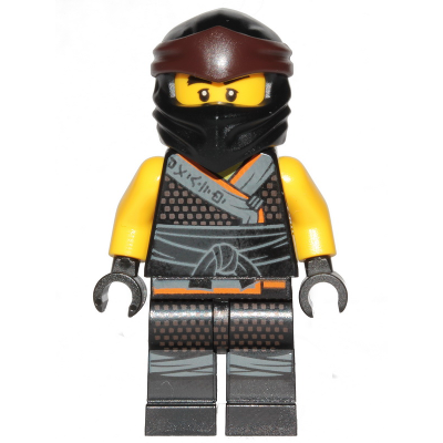 Cole - Legacy, Sons of Garmadon Robe