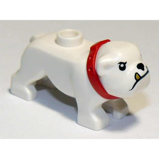Dog, Bulldog