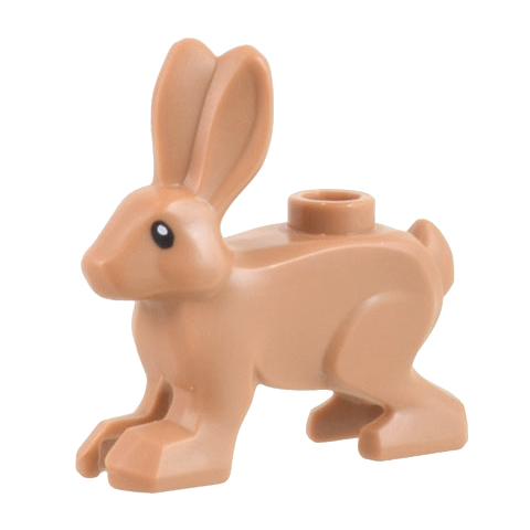 Hare (Rabbit / Bunny), Standing