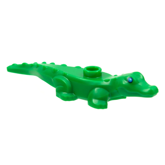 Alligator / Crocodile Baby Hatchling