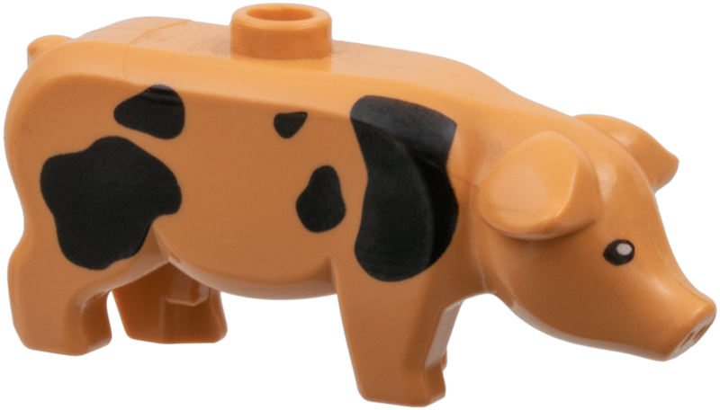 Pig