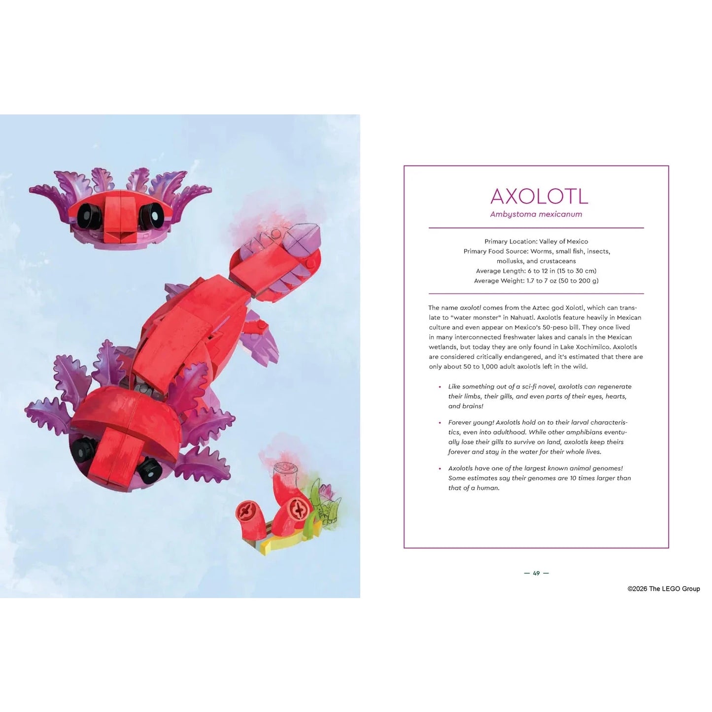 LEGO® Animal Field Guide