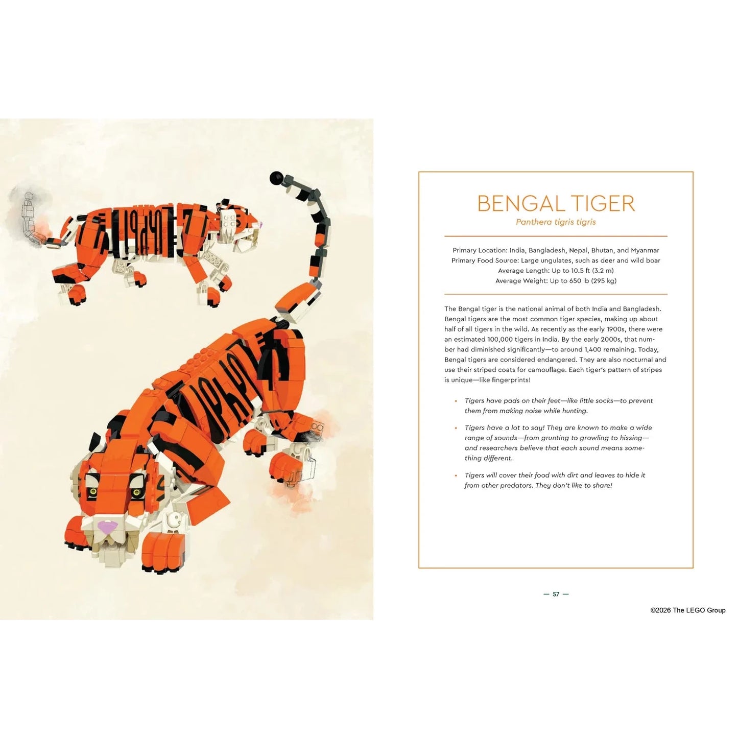 LEGO® Animal Field Guide