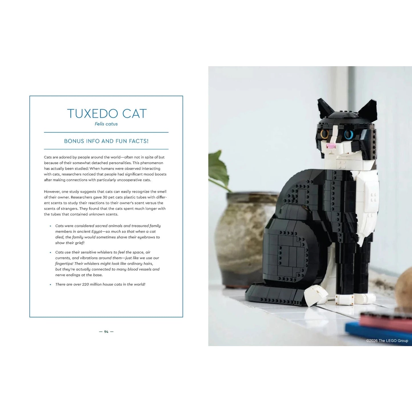 LEGO® Animal Field Guide