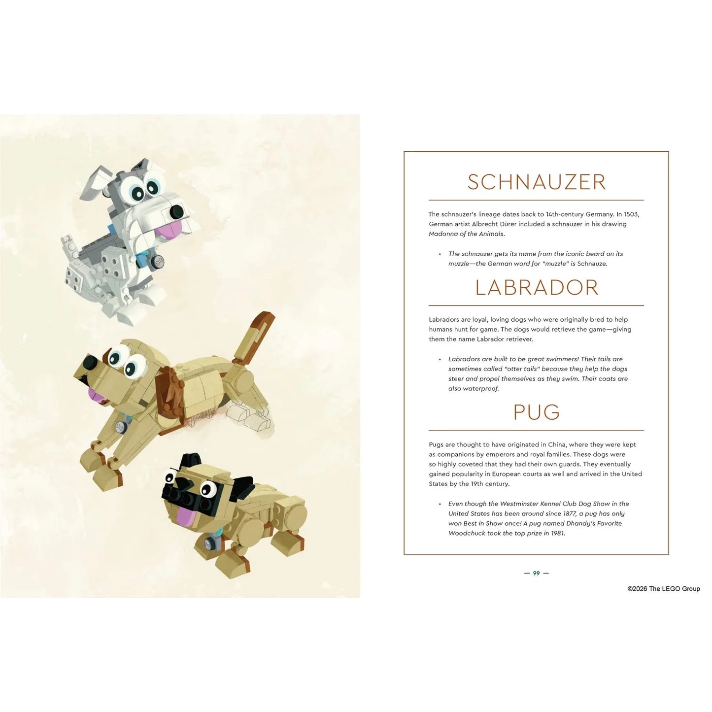 LEGO® Animal Field Guide