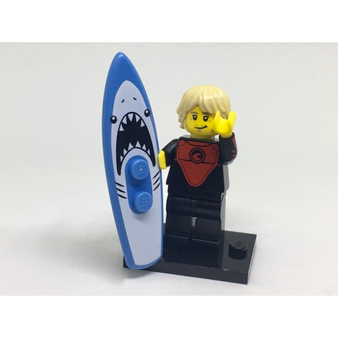 Pro Surfer