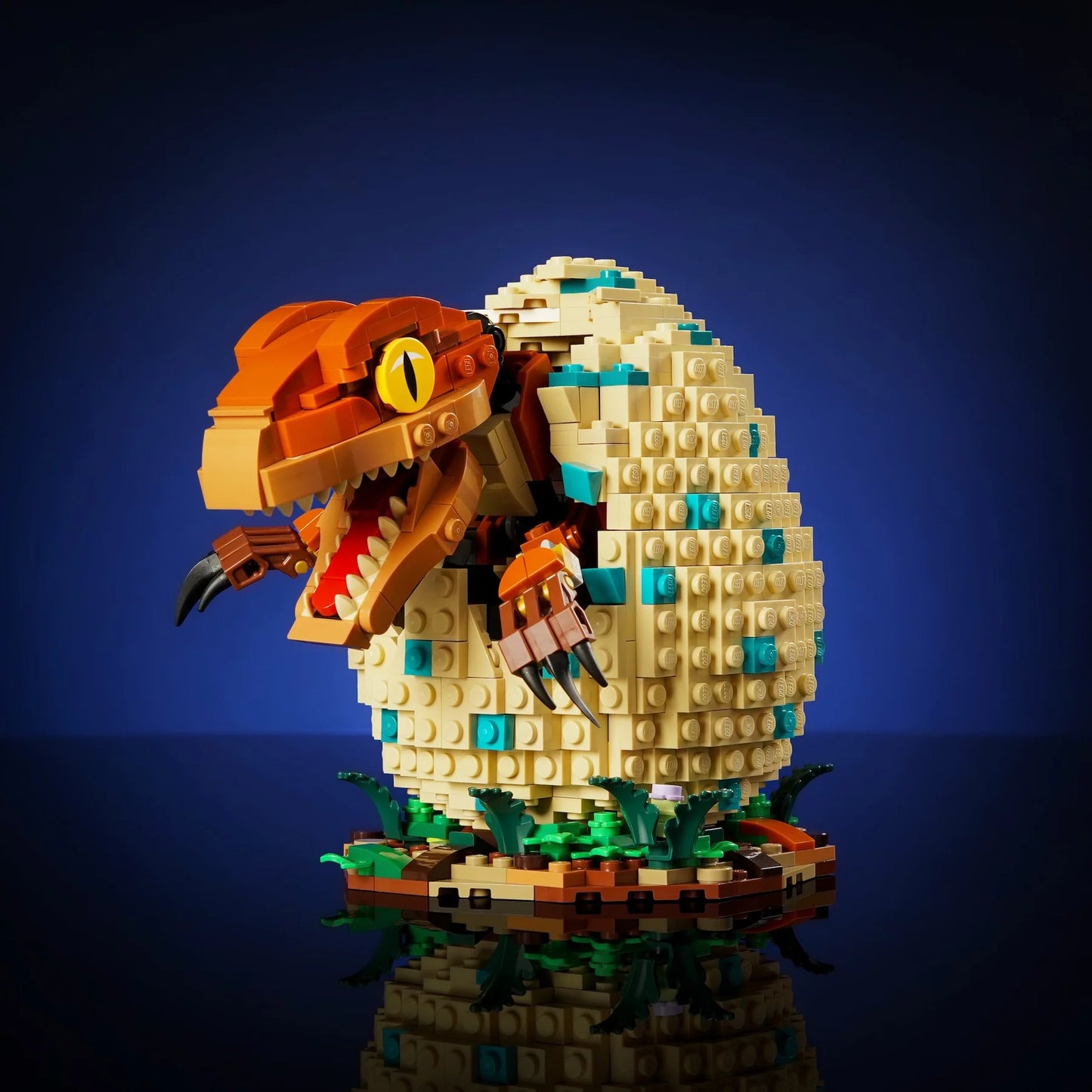 Dinosaur Eggs