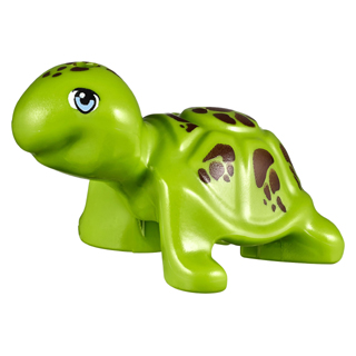 Turtle, Friends Style